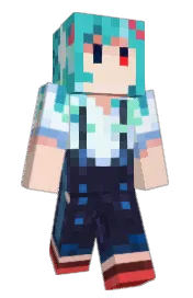Skin preview