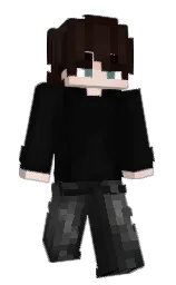 cod gray and coffee bean Minecraft skin — Slim model — first worn by Abobra_