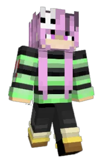 Front of Minecraft skin