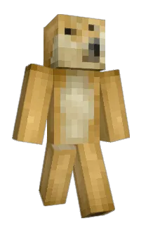 Front of CatLaser's skin