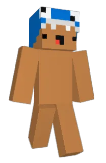 Front of Minecraft skin