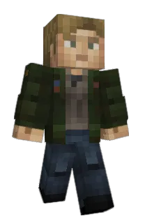 Front of Yevieses's skin