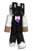 Px_Flyez_