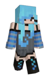 Skin preview