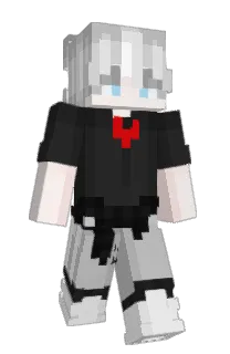 Front of Sajdeczek's skin