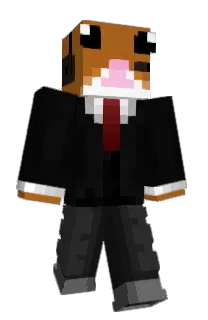 Front of TheRealHampter's skin