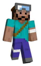 Minecraft skin — Classic model