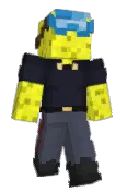 Spongs