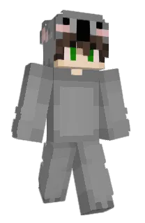 Front of Minecraft skin
