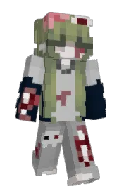 Skin preview