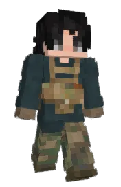 Skin preview