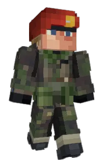 Tortles7's Minecraft skin