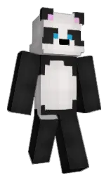 Conn_dor's Minecraft skin wearing the Migrator cape
