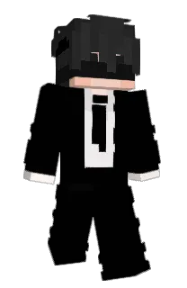 Front of ahpice's skin