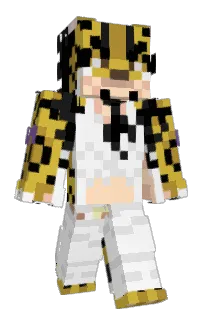 Front of Risky64's skin