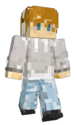 Minecraft skin — Classic model
