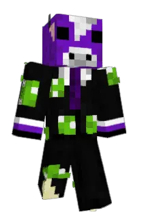 Front of Henriqeh's skin