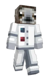 Front of smileyhead's skin