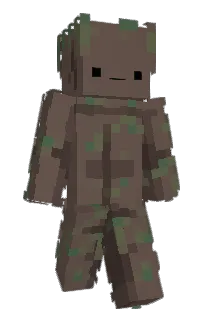 Front of FelixVogi's skin