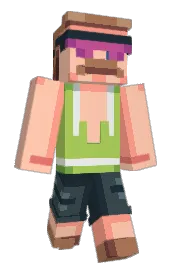 Skin preview