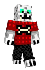 Skin preview
