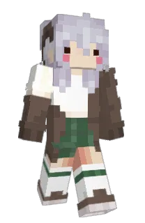 Front of Minecraft skin
