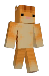 Front of Cardio's skin