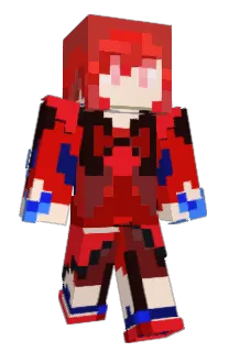 Front of wishder's skin