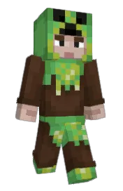 Skin preview