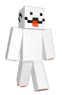 Front of mediaevant's skin