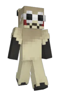 Front of ElGansiux's skin