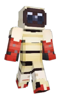 Front of jgd25211's skin