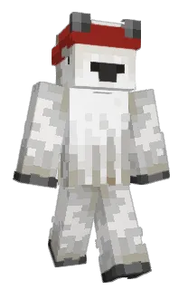 Front of Vinyak's skin