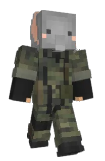 Front of elephant_1's skin