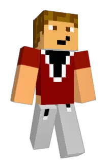 fberg9999 Minecraft avatar full body