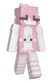 Front of mroww's skin