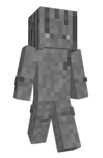 Front of Gamer229070's skin