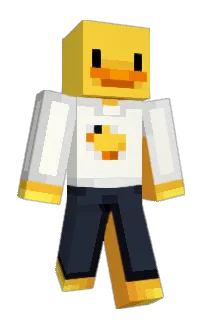 Front of RuinedPixel's skin