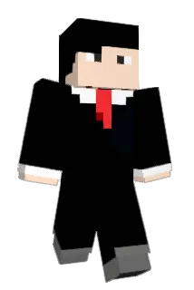 fbns Minecraft avatar full body