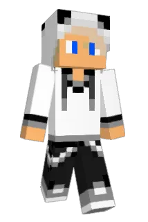 fboisen Minecraft avatar full body