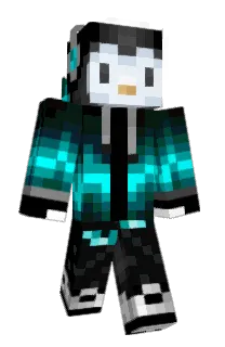 Front of TheGamerPenguin9's skin