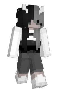 Front of Minecraft skin