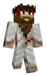 Ryu_Azuku's Minecraft skin wearing the Migrator cape
