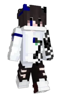 Front of NotJly's skin