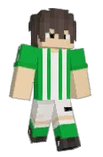 SrHibisco