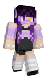 just right and black Minecraft skin — Classic model