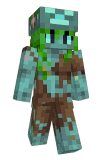 Front of njordVPN's skin