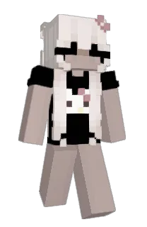 Front of vSage's skin