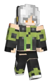 Skin preview