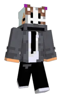 Front of inballball's skin